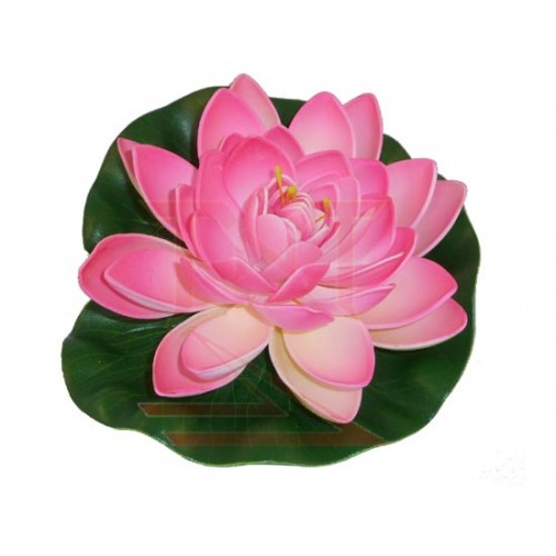 Lotus Flower - Pink