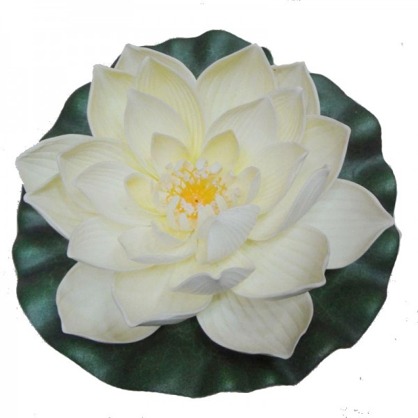 Lotus Flower, White
